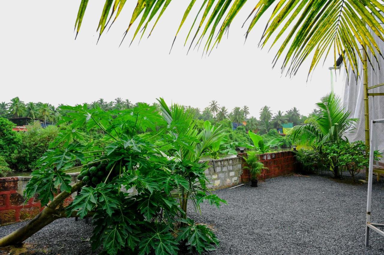 Vedana Retreat Arambol Exterior foto
